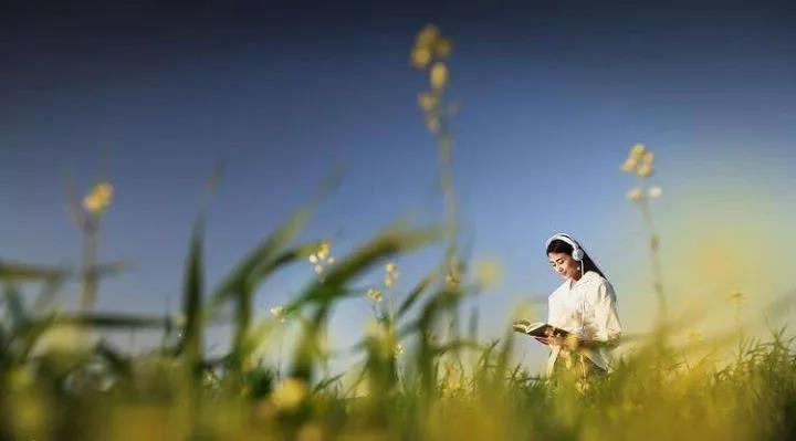 什么是1%的轻奢生活?(图4) 什么是1%的轻奢生活?(图4)